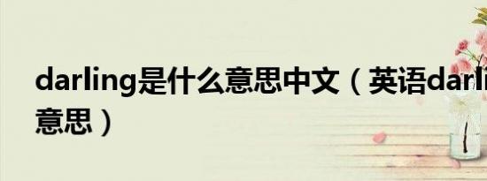 darling是什么意思中文（英语darling什么意思）