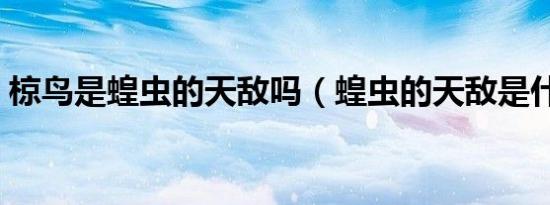椋鸟是蝗虫的天敌吗（蝗虫的天敌是什么鸟）