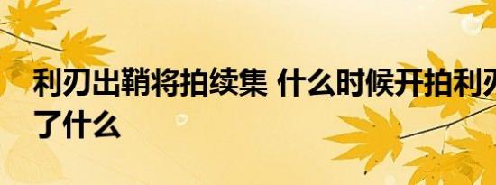 利刃出鞘将拍续集 什么时候开拍利刃出鞘讲了什么