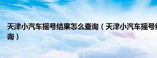 天津小汽车摇号结果怎么查询（天津小汽车摇号结果怎么查询）