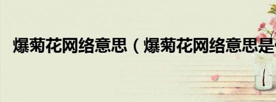 爆菊花网络意思（爆菊花网络意思是什么）
