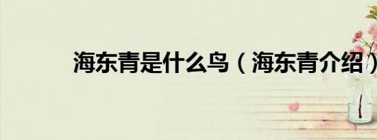 海东青是什么鸟（海东青介绍）
