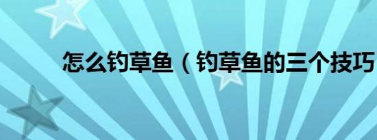 怎么钓草鱼（钓草鱼的三个技巧）