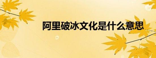 阿里破冰文化是什么意思