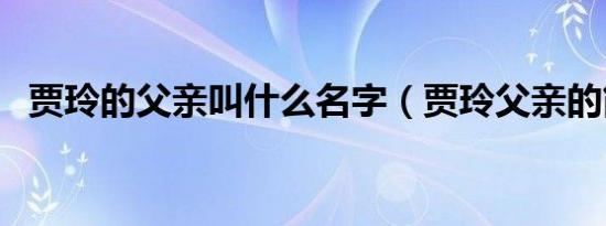 贾玲的父亲叫什么名字（贾玲父亲的简介）