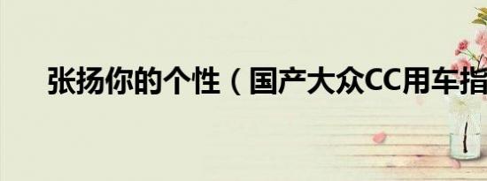 张扬你的个性（国产大众CC用车指南）