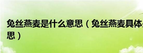 兔丝燕麦是什么意思（兔丝燕麦具体是什么意思）