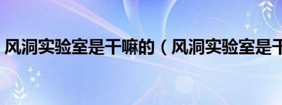 风洞实验室是干嘛的（风洞实验室是干嘛的）