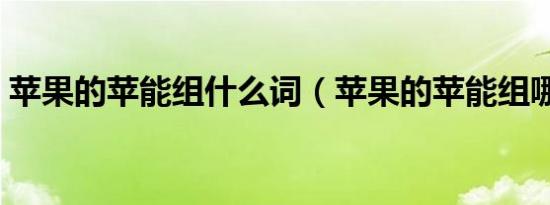 苹果的苹能组什么词（苹果的苹能组哪些词）