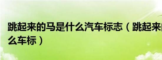 跳起来的马是什么汽车标志（跳起来的马是什么车标）