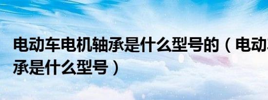 电动车电机轴承是什么型号的（电动车电机轴承是什么型号）