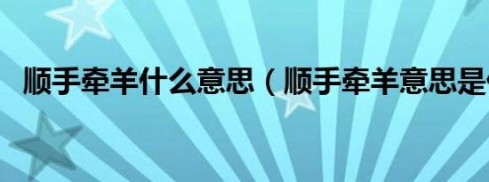 顺手牵羊什么意思（顺手牵羊意思是什么）