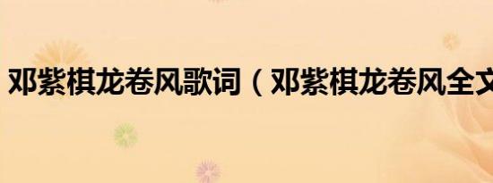 邓紫棋龙卷风歌词（邓紫棋龙卷风全文歌词）