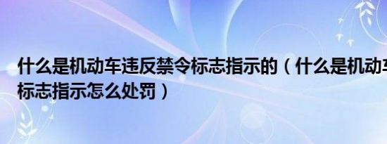 什么是机动车违反禁令标志指示的（什么是机动车违反禁令标志指示怎么处罚）