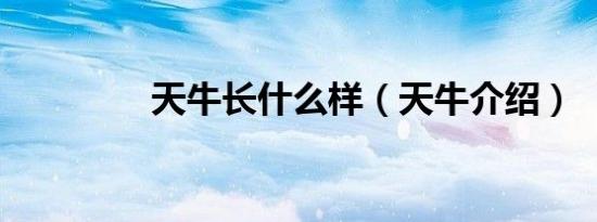 天牛长什么样（天牛介绍）