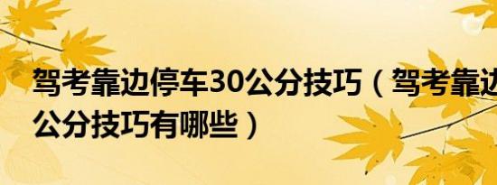 驾考靠边停车30公分技巧（驾考靠边停车30公分技巧有哪些）