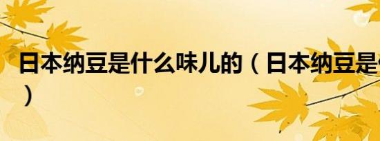 日本纳豆是什么味儿的（日本纳豆是什么东西）