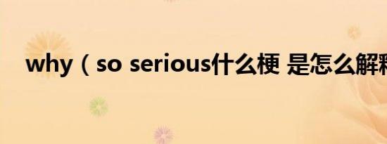 why（so serious什么梗 是怎么解释的）