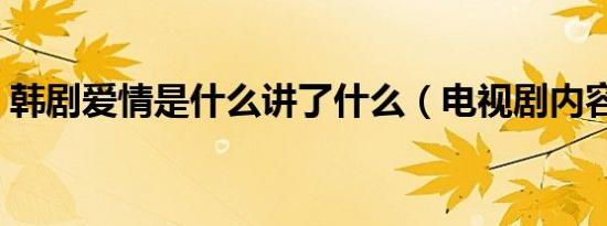 韩剧爱情是什么讲了什么（电视剧内容介绍）