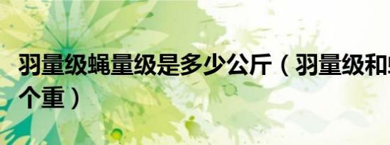 羽量级蝇量级是多少公斤（羽量级和蝇量级哪个重）
