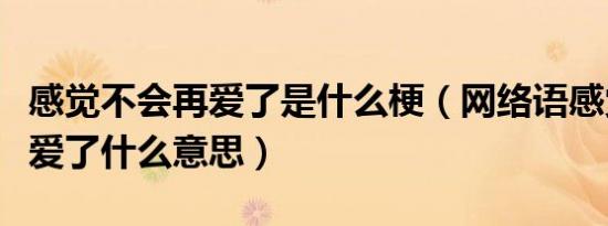 感觉不会再爱了是什么梗（网络语感觉不会再爱了什么意思）