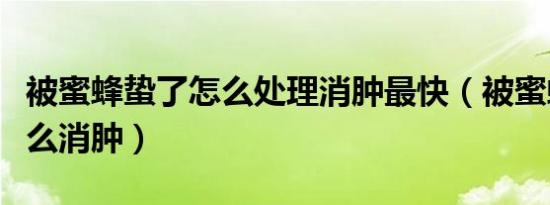 被蜜蜂蛰了怎么处理消肿最快（被蜜蜂蛰了怎么消肿）