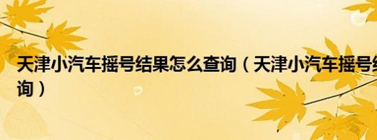 天津小汽车摇号结果怎么查询（天津小汽车摇号结果怎么查询）