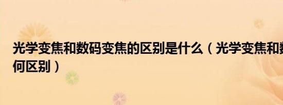 光学变焦和数码变焦的区别是什么（光学变焦和数码变焦有何区别）