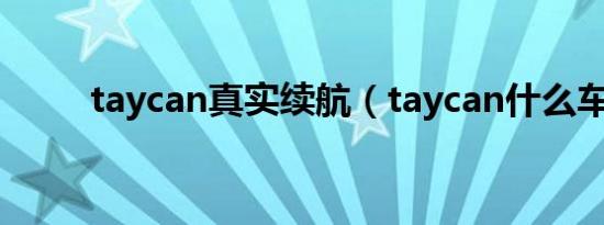 taycan真实续航（taycan什么车）