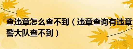 查违章怎么查不到（违章查询有违章为什么交警大队查不到）
