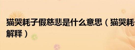 猫哭耗子假慈悲是什么意思（猫哭耗子假慈悲解释）