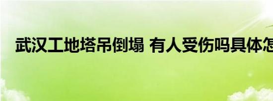 武汉工地塔吊倒塌 有人受伤吗具体怎样的