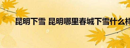 昆明下雪 昆明哪里春城下雪什么样子