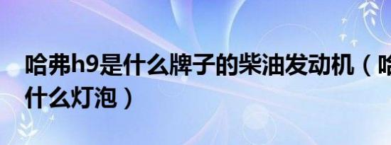 哈弗h9是什么牌子的柴油发动机（哈弗h9是什么灯泡）