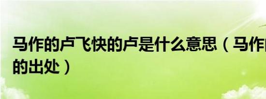 马作的卢飞快的卢是什么意思（马作的卢飞快的出处）