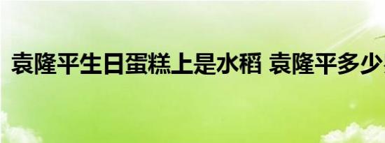 袁隆平生日蛋糕上是水稻 袁隆平多少岁生日