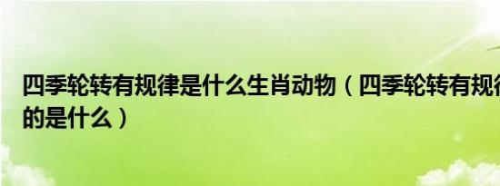 四季轮转有规律是什么生肖动物（四季轮转有规律的生肖指的是什么）