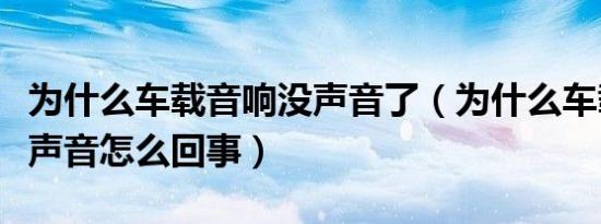 为什么车载音响没声音了（为什么车载音响没声音怎么回事）