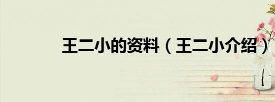 王二小的资料（王二小介绍）