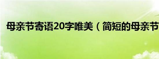 母亲节寄语20字唯美（简短的母亲节祝福）