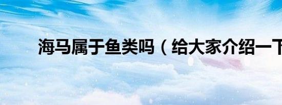 海马属于鱼类吗（给大家介绍一下）