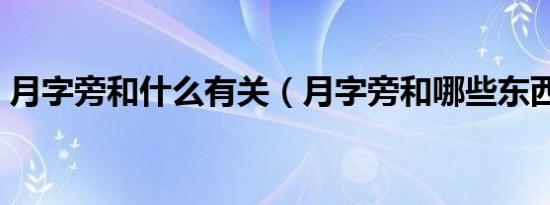月字旁和什么有关（月字旁和哪些东西有关）