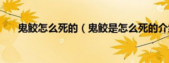 鬼鲛怎么死的（鬼鲛是怎么死的介绍）