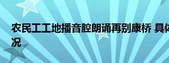 农民工工地播音腔朗诵再别康桥 具体是啥情况