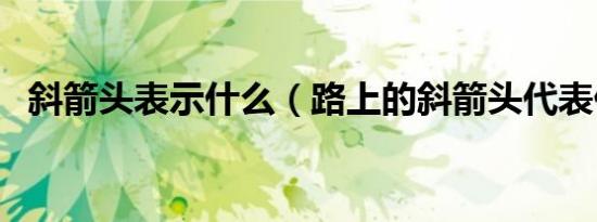 斜箭头表示什么（路上的斜箭头代表什么）