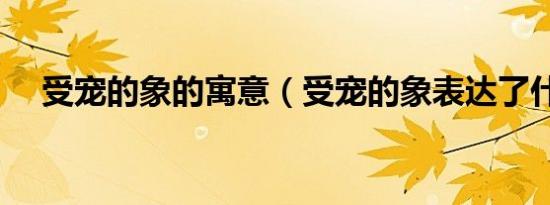 受宠的象的寓意（受宠的象表达了什么）