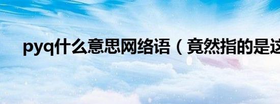 pyq什么意思网络语（竟然指的是这个）