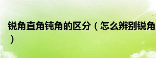 锐角直角钝角的区分（怎么辨别锐角直角钝角）