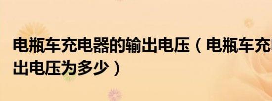 电瓶车充电器的输出电压（电瓶车充电器的输出电压为多少）
