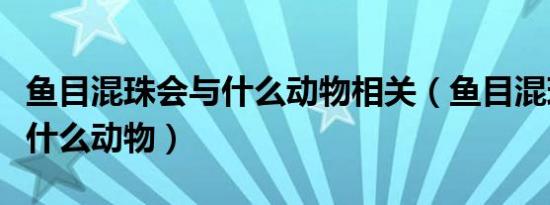 鱼目混珠会与什么动物相关（鱼目混珠指的是什么动物）